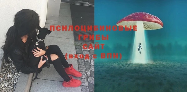 герыч Алзамай