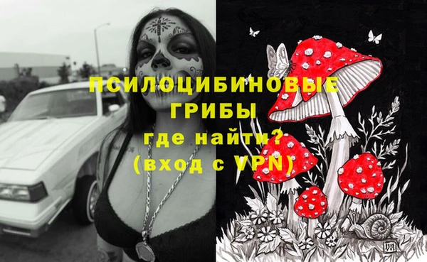 амфетамин Алексин