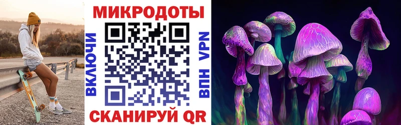 площадка наркотические препараты Любань Псилоцибиновые грибы мицелий