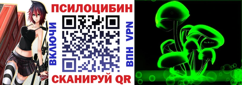 Псилоцибиновые грибы Cubensis Любань